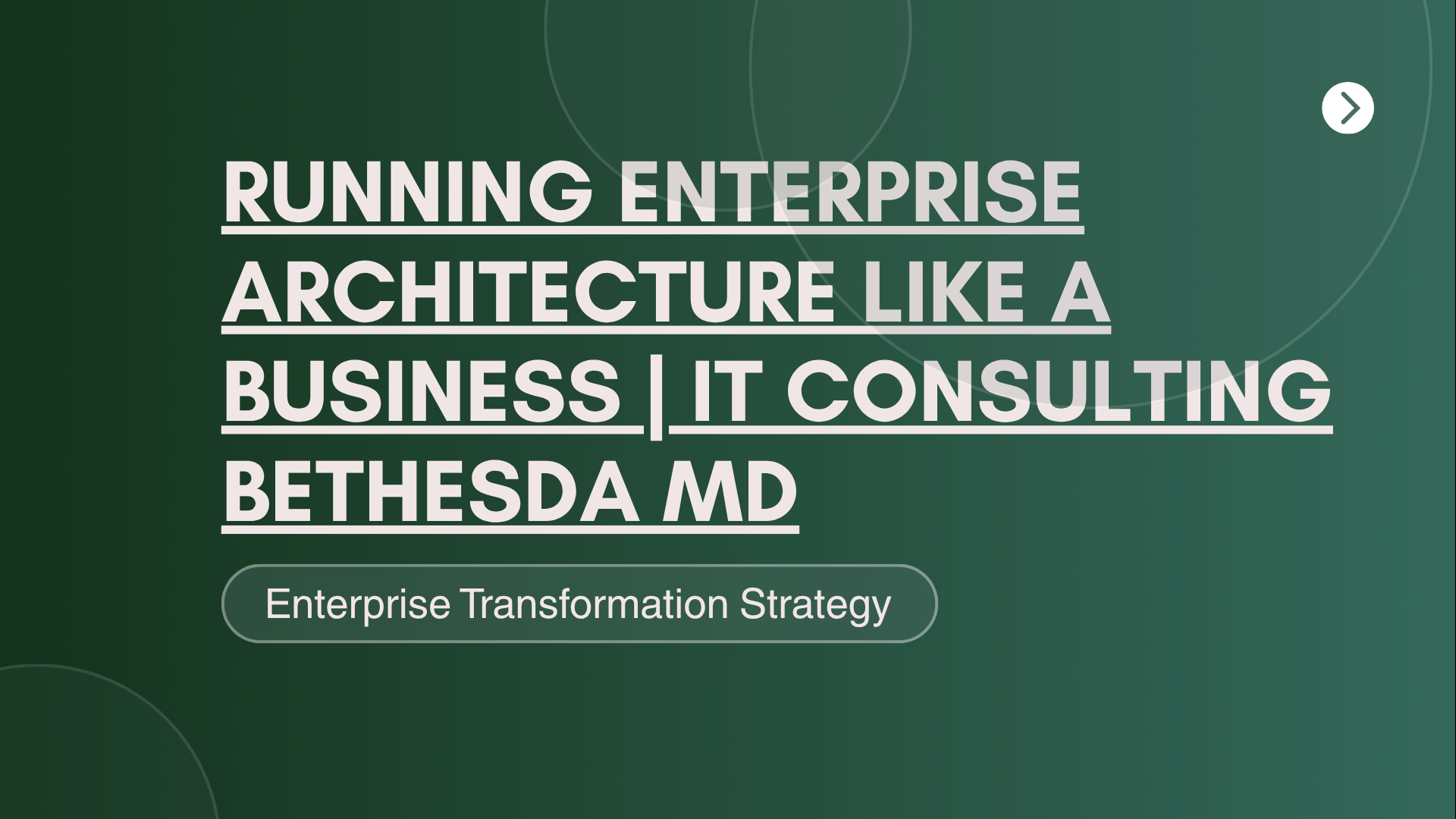 Running Enterprise Architecture Like a Business | IT Consulting Bethesda MD
